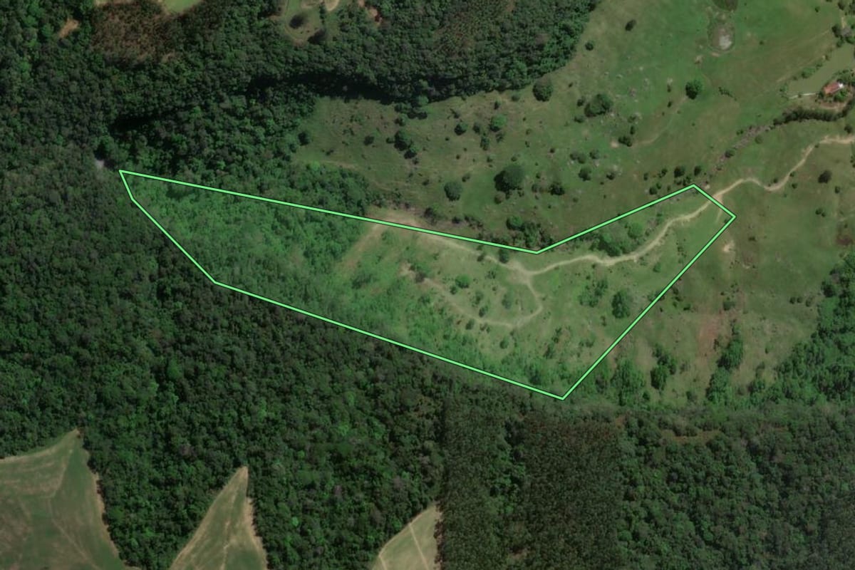 Imagem de satélite do imóvel rural em Presidente Getúlio (SC), com o contorno declarado no CAR desenhado por cima.