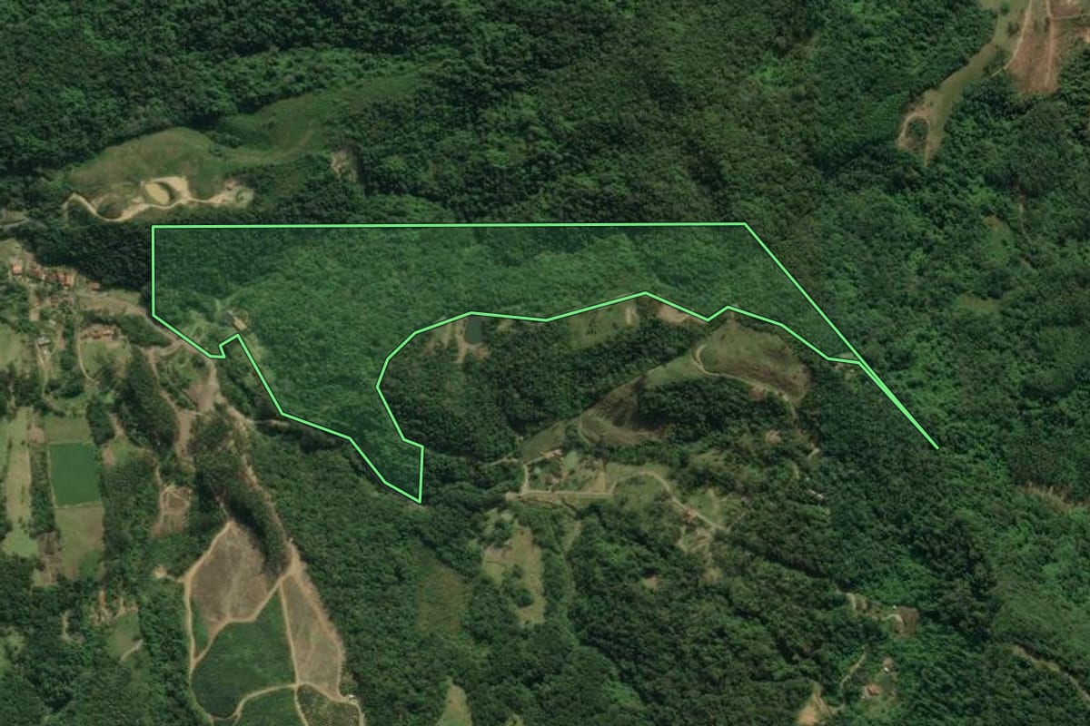 Imagem de satélite do imóvel rural em Presidente Getúlio (SC), com o contorno declarado no CAR desenhado por cima.