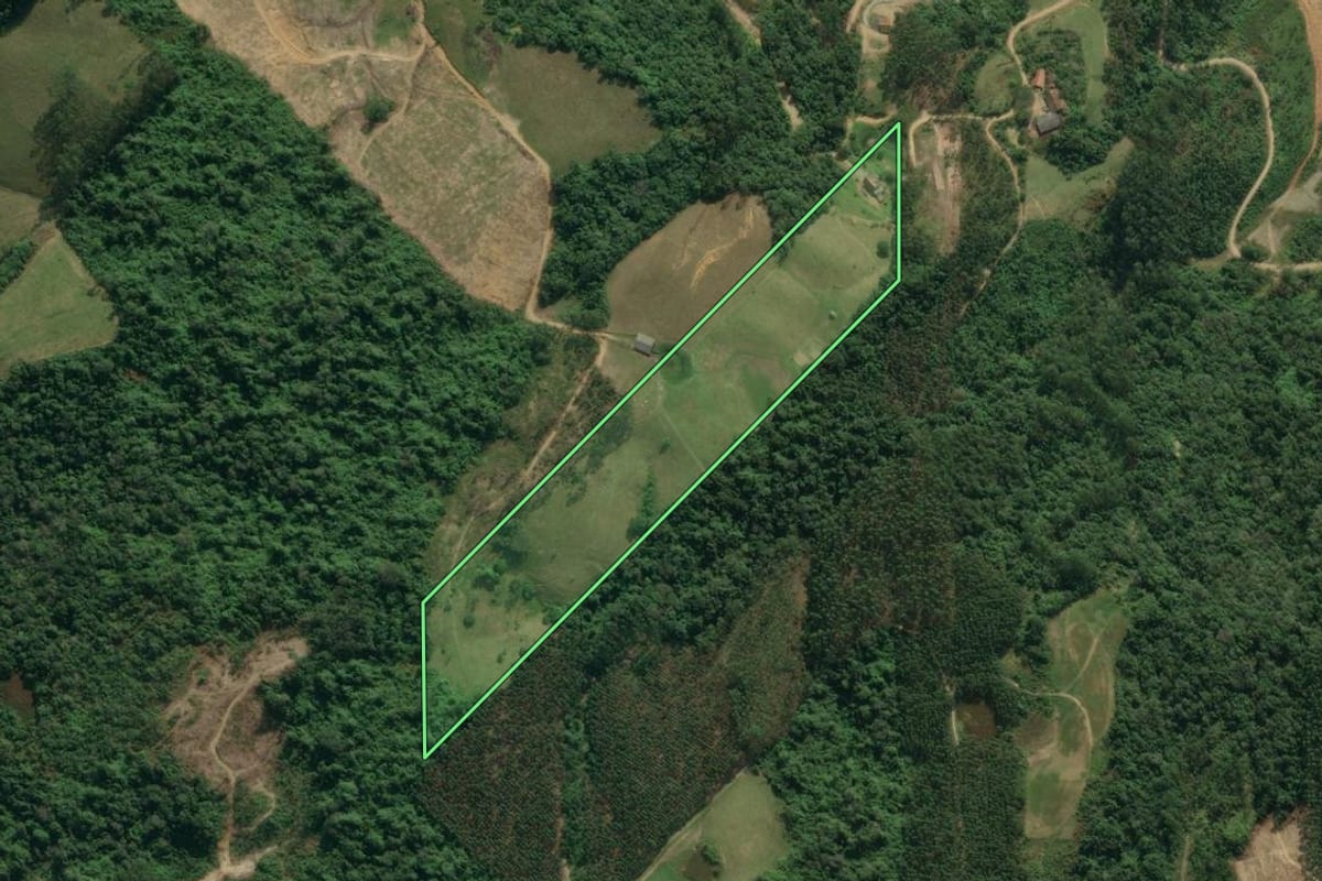 Imagem de satélite do imóvel rural em Presidente Getúlio (SC), com o contorno declarado no CAR desenhado por cima.
