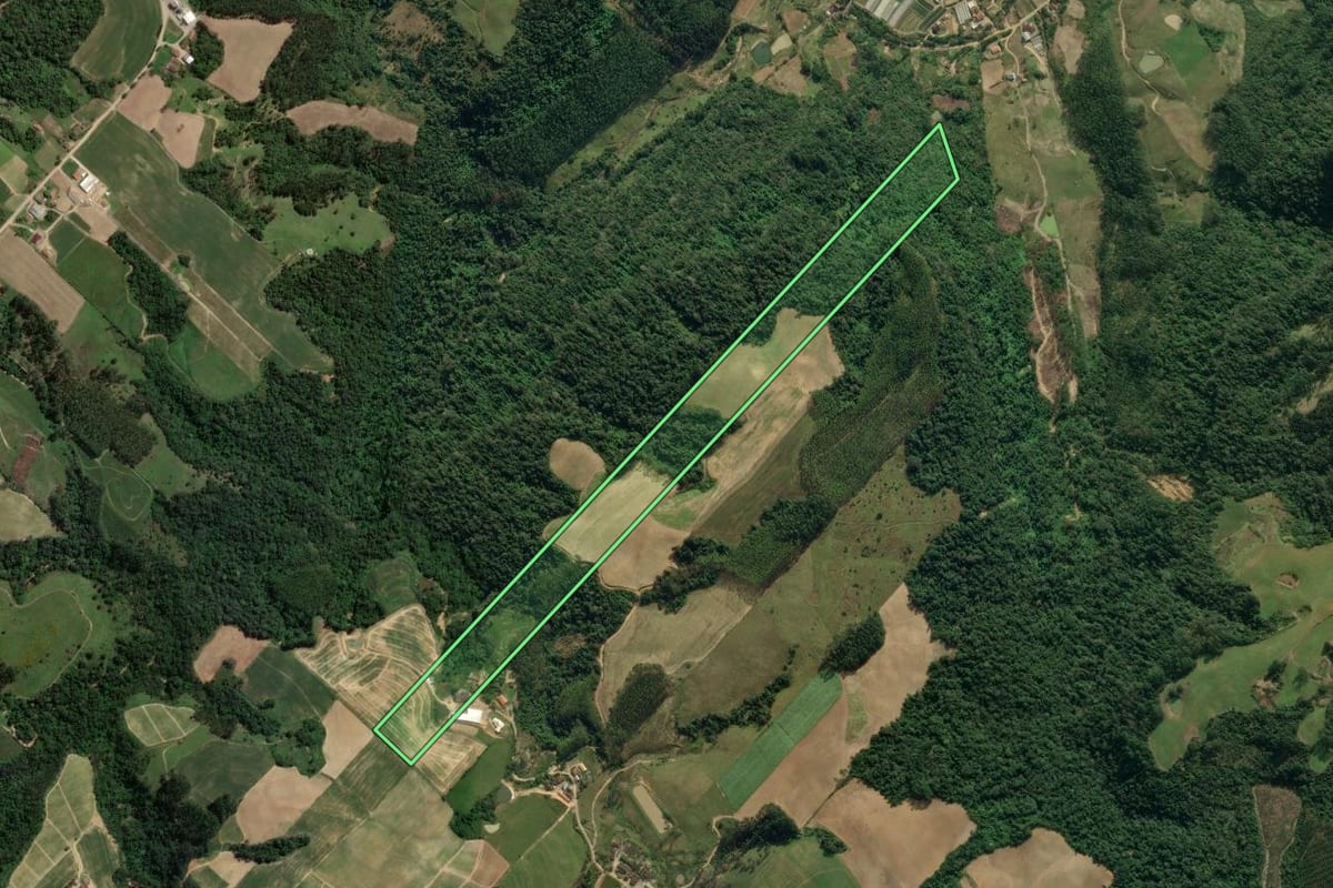 Imagem de satélite do imóvel rural em Presidente Getúlio (SC), com o contorno declarado no CAR desenhado por cima.