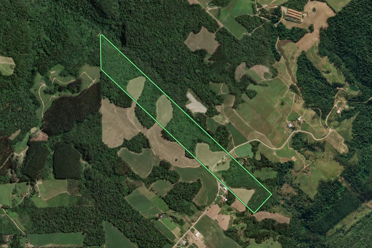 Imagem de satélite do imóvel rural em Presidente Getúlio (SC), com o contorno declarado no CAR desenhado por cima.