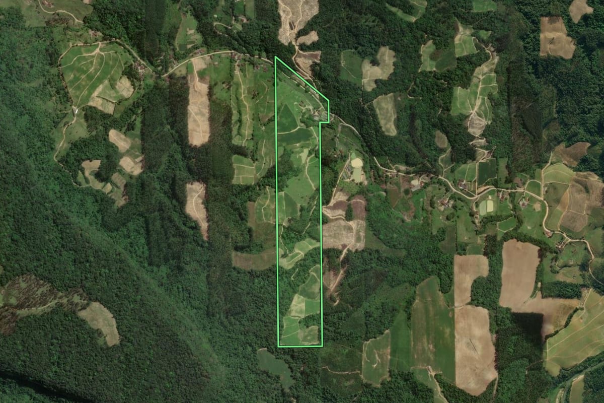 Imagem de satélite do imóvel rural em Presidente Getúlio (SC), com o contorno declarado no CAR desenhado por cima.
