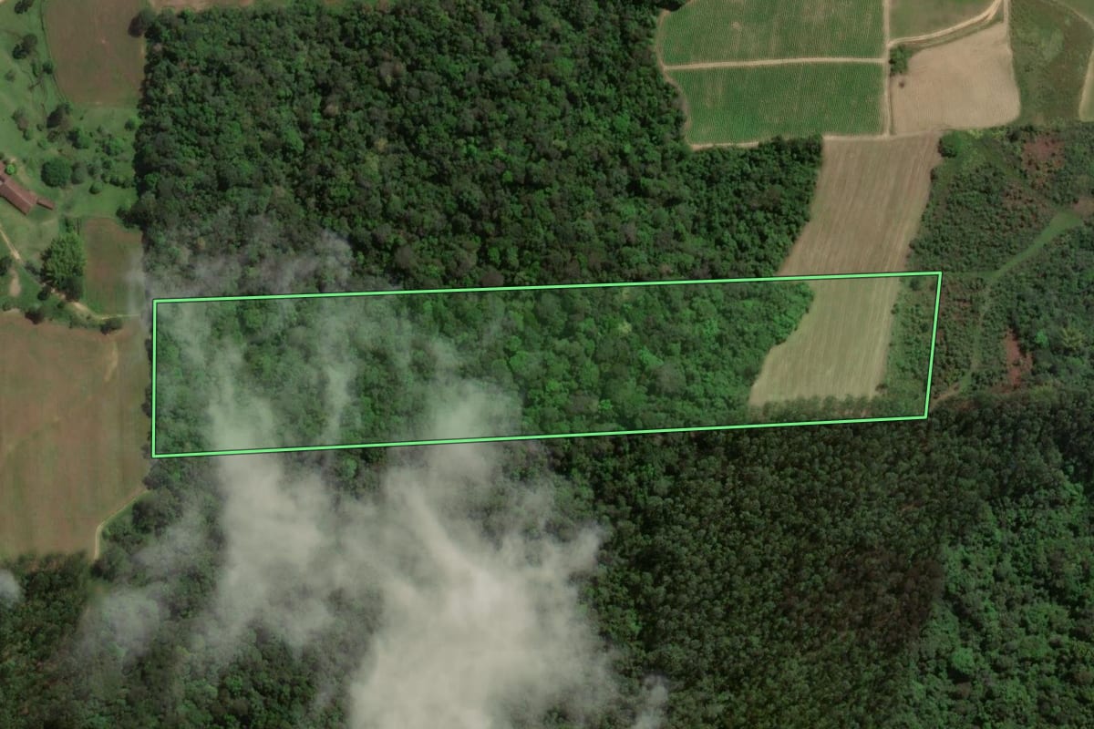 Imagem de satélite do imóvel rural em Presidente Getúlio (SC), com o contorno declarado no CAR desenhado por cima.