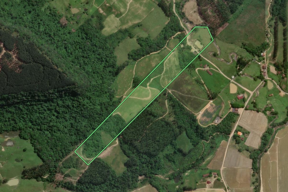 Imagem de satélite do imóvel rural em Presidente Getúlio (SC), com o contorno declarado no CAR desenhado por cima.