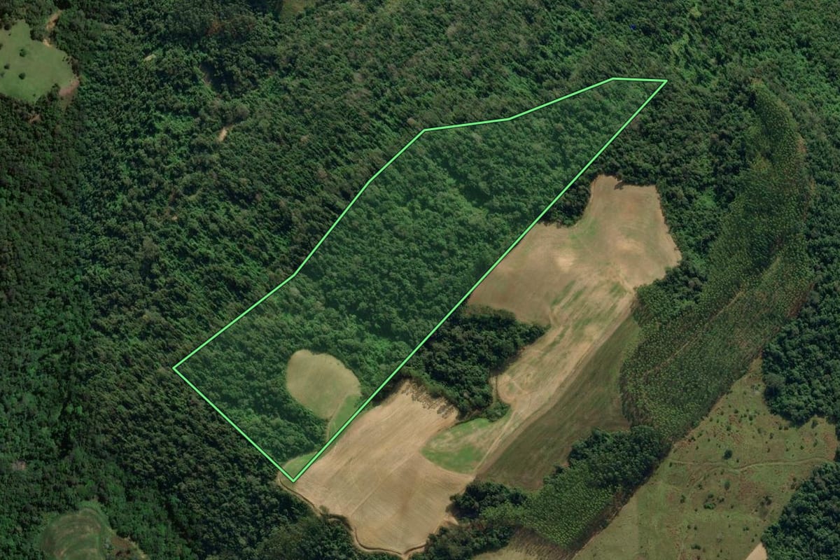 Imagem de satélite do imóvel rural em Presidente Getúlio (SC), com o contorno declarado no CAR desenhado por cima.