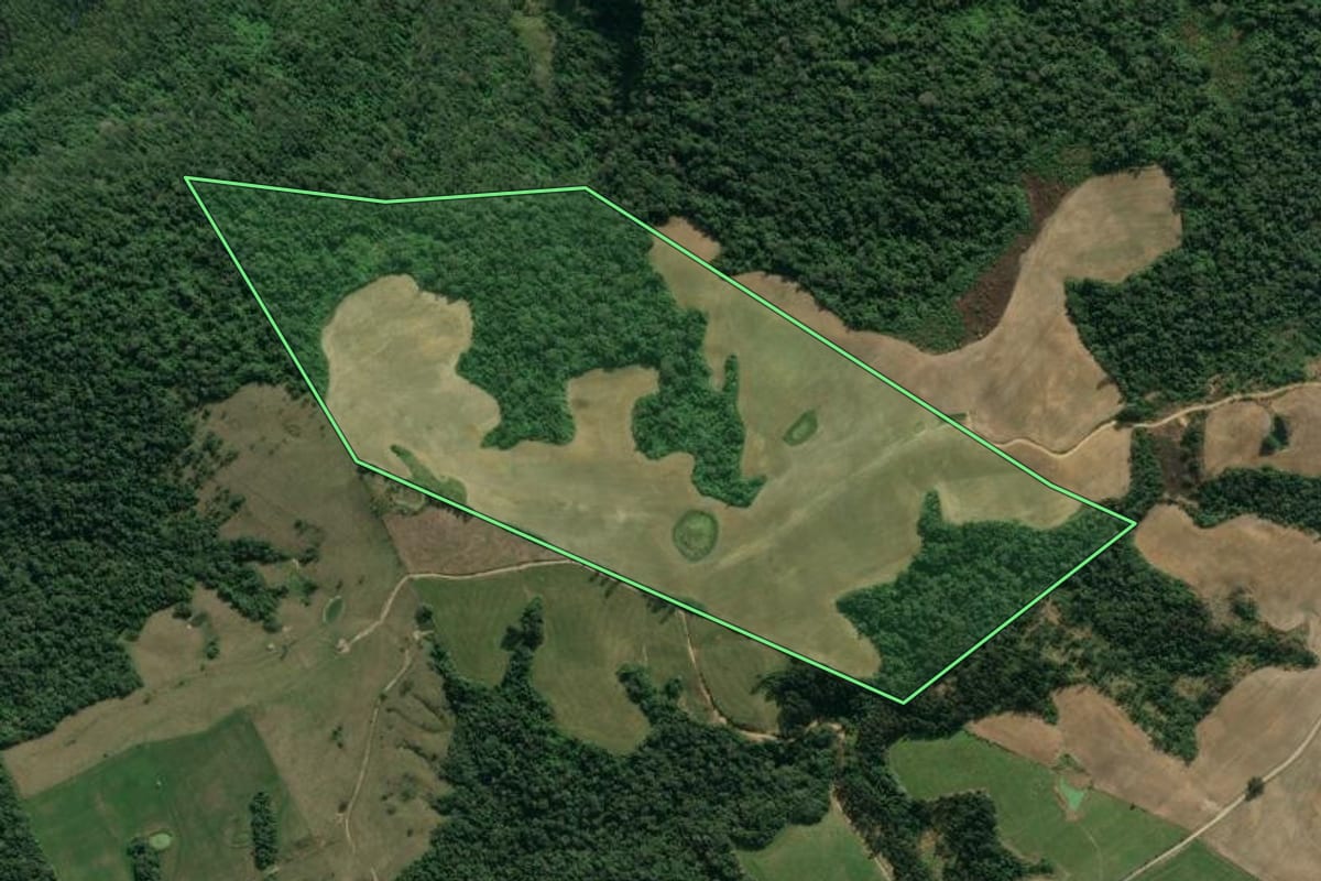 Imagem de satélite do imóvel rural em Presidente Getúlio (SC), com o contorno declarado no CAR desenhado por cima.