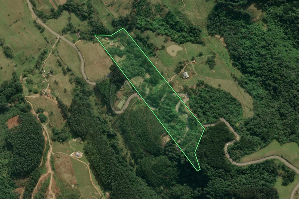 Imagem de satélite do imóvel rural em Presidente Getúlio (SC), com o contorno declarado no CAR desenhado por cima.