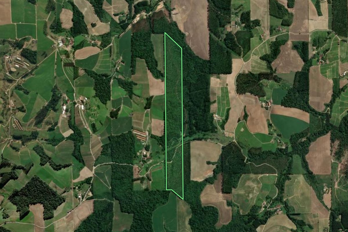 Imagem de satélite do imóvel rural em Presidente Getúlio (SC), com o contorno declarado no CAR desenhado por cima.