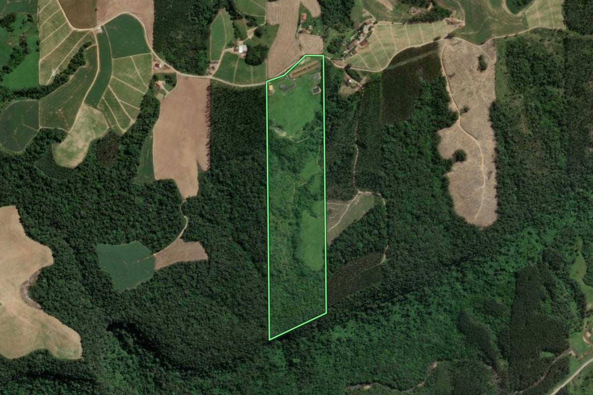 Imagem de satélite do imóvel rural em Presidente Getúlio (SC), com o contorno declarado no CAR desenhado por cima.
