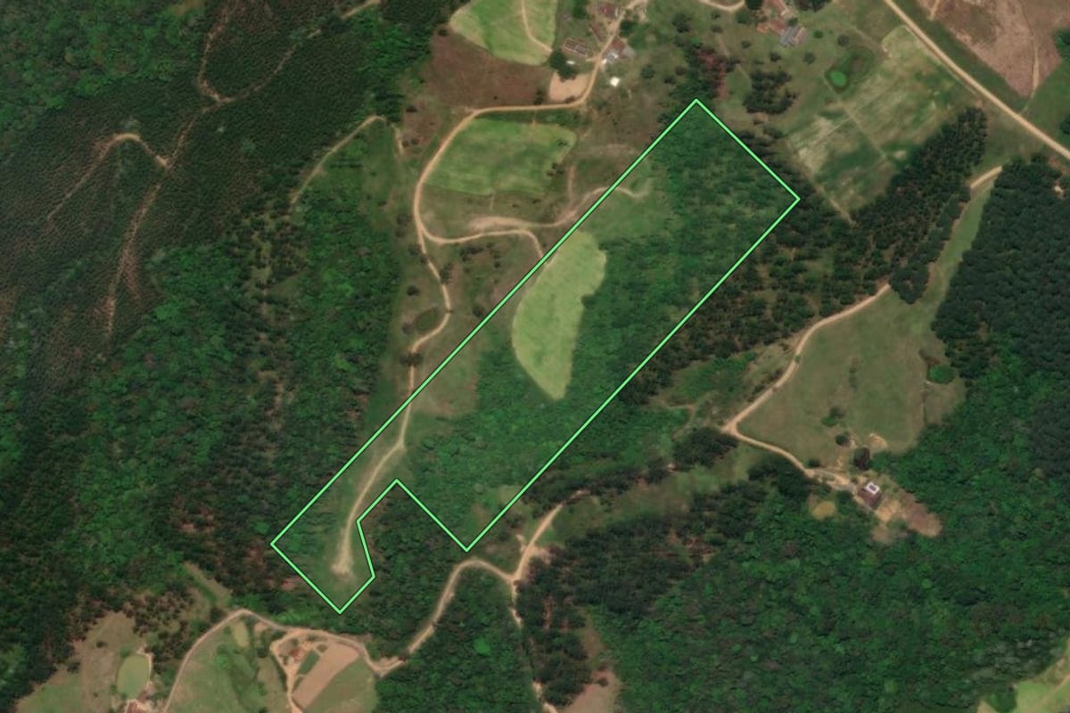 Imagem de satélite do imóvel rural em Presidente Getúlio (SC), com o contorno declarado no CAR desenhado por cima.
