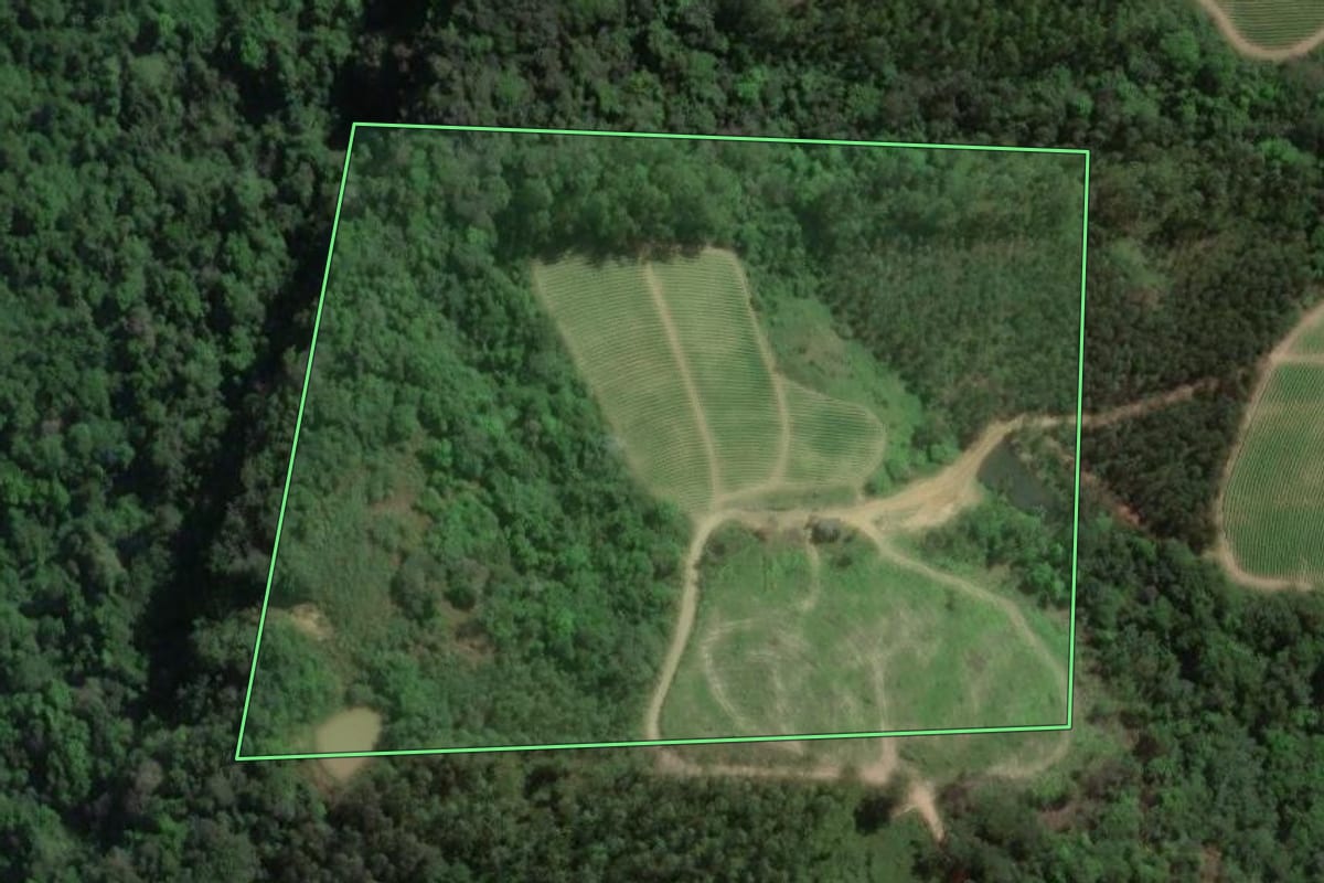 Imagem de satélite do imóvel rural em Presidente Getúlio (SC), com o contorno declarado no CAR desenhado por cima.