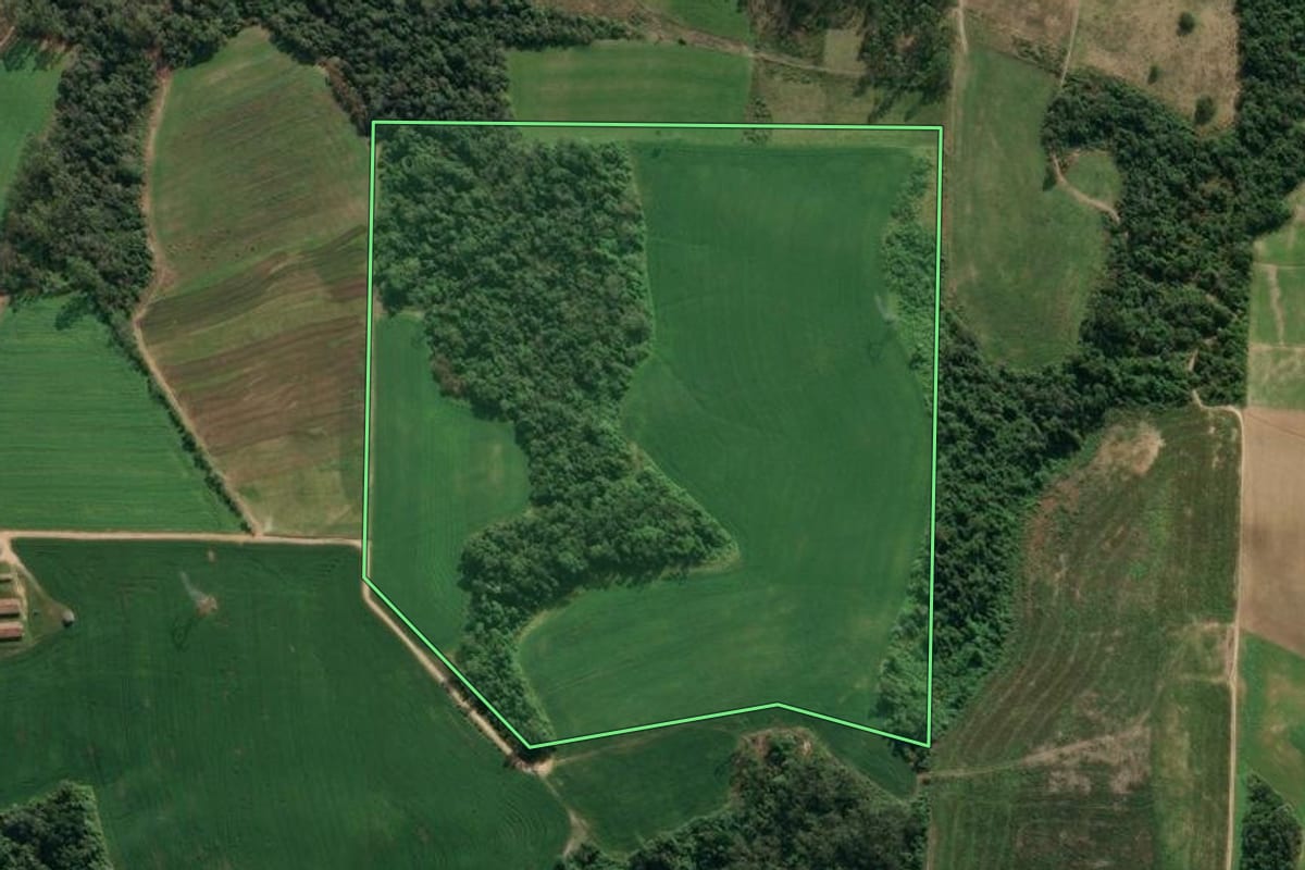 Imagem de satélite do imóvel rural em Presidente Getúlio (SC), com o contorno declarado no CAR desenhado por cima.