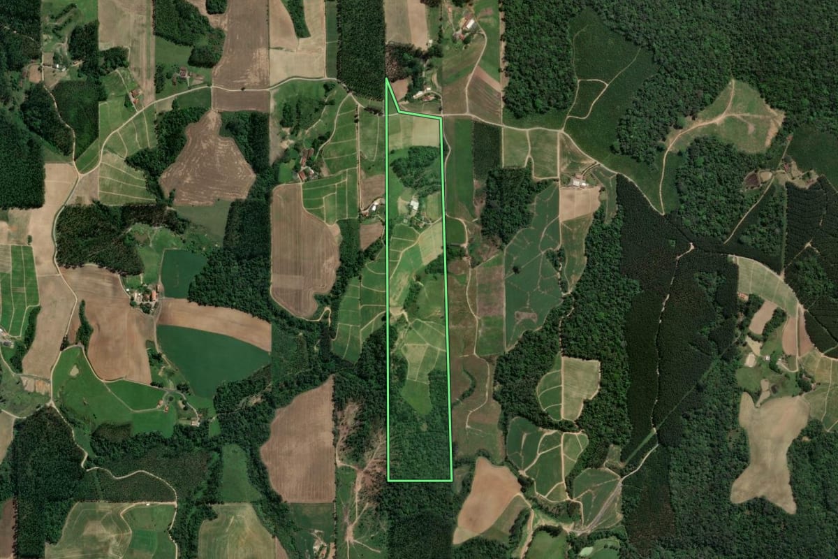 Imagem de satélite do imóvel rural em Presidente Getúlio (SC), com o contorno declarado no CAR desenhado por cima.
