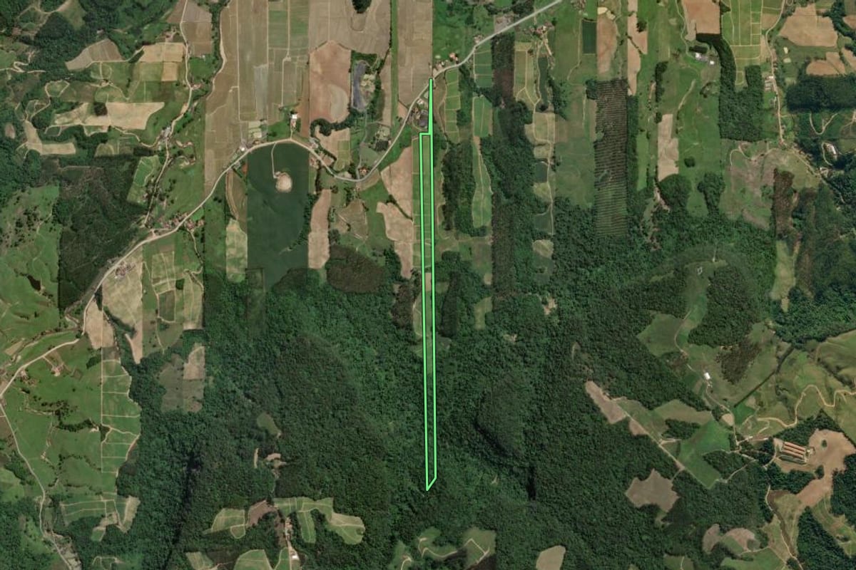 Imagem de satélite do imóvel rural em Presidente Getúlio (SC), com o contorno declarado no CAR desenhado por cima.