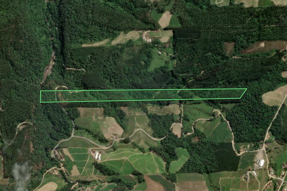 Imagem de satélite do imóvel rural em Presidente Getúlio (SC), com o contorno declarado no CAR desenhado por cima.