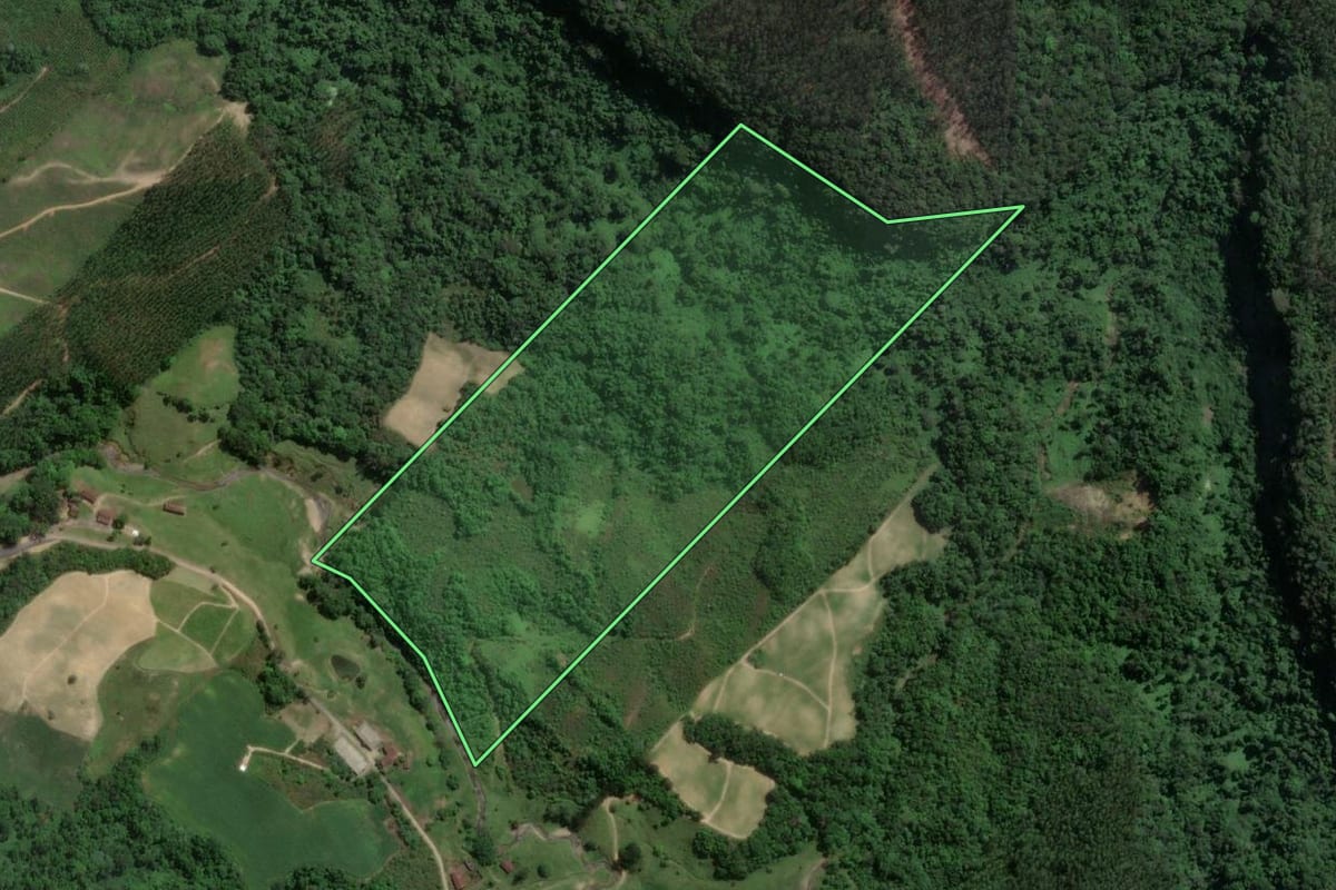 Imagem de satélite do imóvel rural em Presidente Getúlio (SC), com o contorno declarado no CAR desenhado por cima.