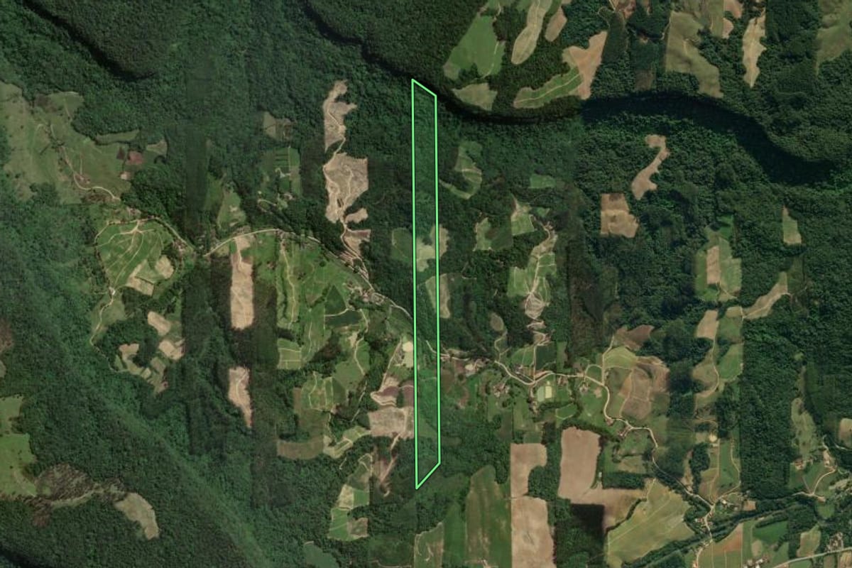 Imagem de satélite do imóvel rural em Presidente Getúlio (SC), com o contorno declarado no CAR desenhado por cima.