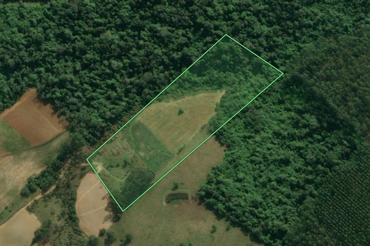 Imagem de satélite do imóvel rural em Presidente Getúlio (SC), com o contorno declarado no CAR desenhado por cima.