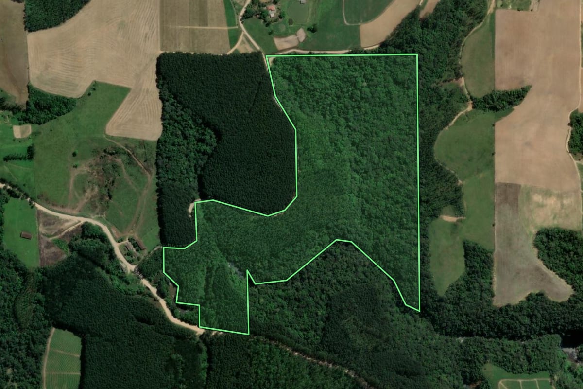 Imagem de satélite do imóvel rural em Presidente Getúlio (SC), com o contorno declarado no CAR desenhado por cima.