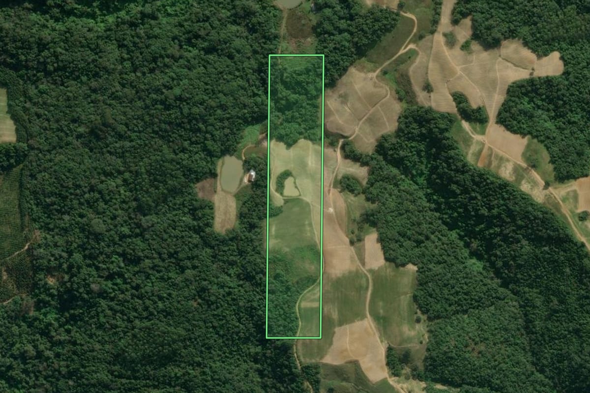 Imagem de satélite do imóvel rural em Presidente Getúlio (SC), com o contorno declarado no CAR desenhado por cima.