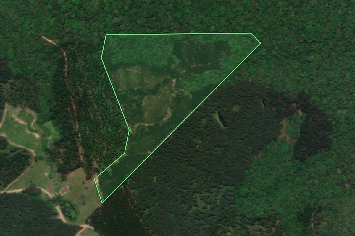 Imagem de satélite do imóvel rural em Presidente Getúlio (SC), com o contorno declarado no CAR desenhado por cima.