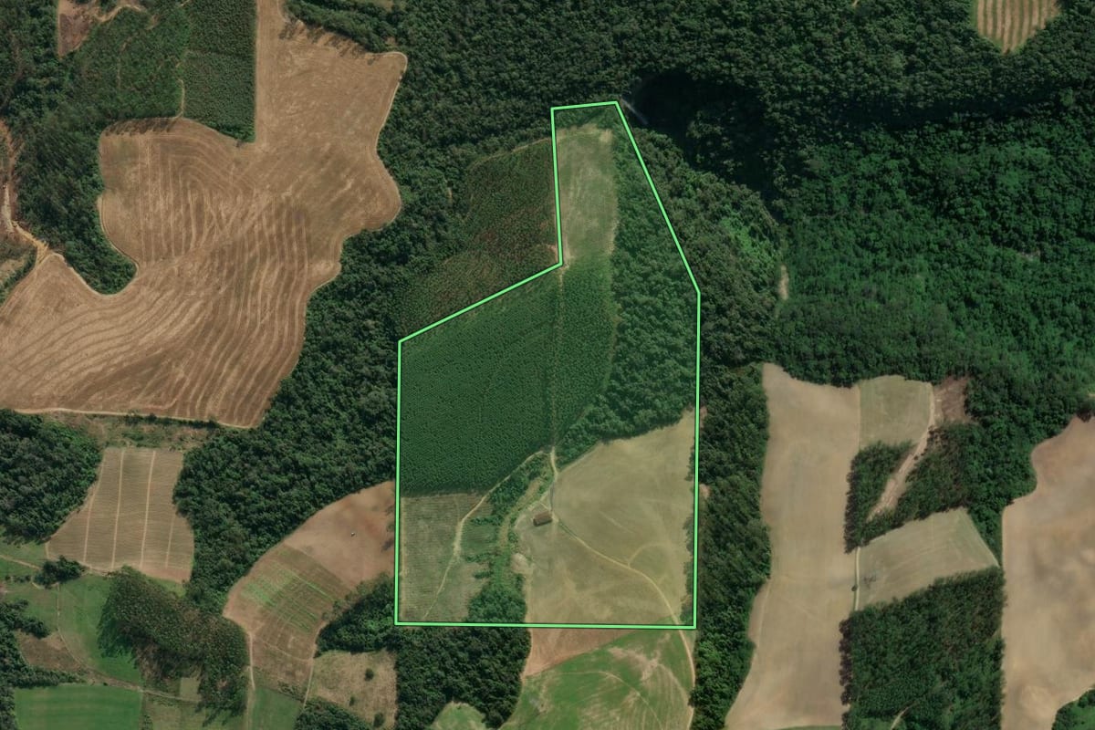 Imagem de satélite do imóvel rural em Presidente Getúlio (SC), com o contorno declarado no CAR desenhado por cima.