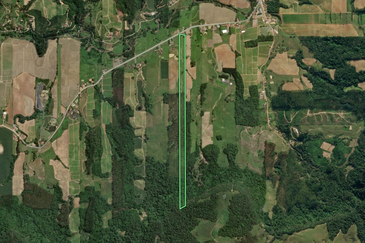 Imagem de satélite do imóvel rural em Presidente Getúlio (SC), com o contorno declarado no CAR desenhado por cima.