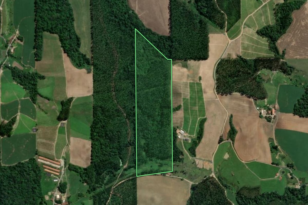 Imagem de satélite do imóvel rural em Presidente Getúlio (SC), com o contorno declarado no CAR desenhado por cima.