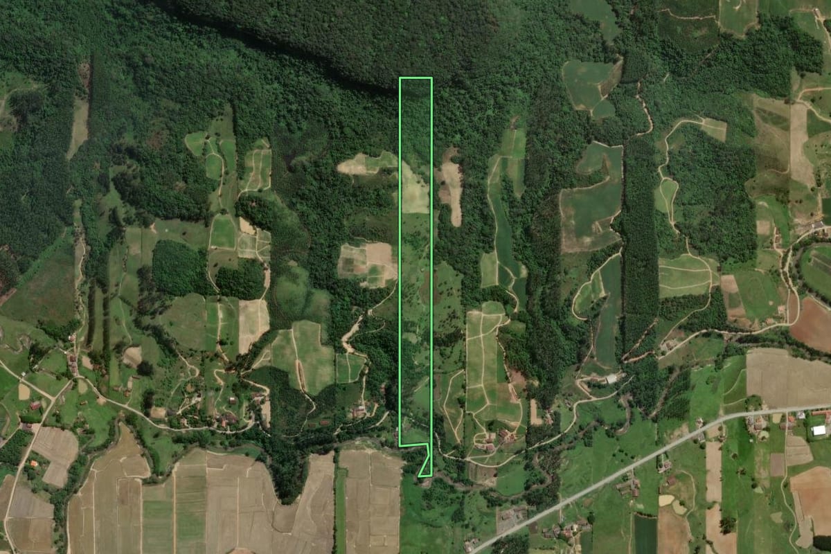 Imagem de satélite do imóvel rural em Presidente Getúlio (SC), com o contorno declarado no CAR desenhado por cima.