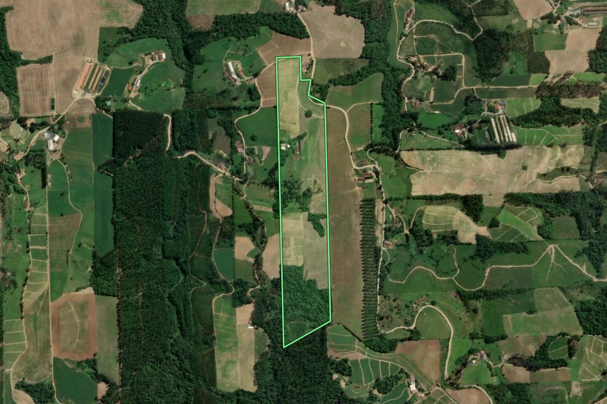 Imagem de satélite do imóvel rural em Presidente Getúlio (SC), com o contorno declarado no CAR desenhado por cima.