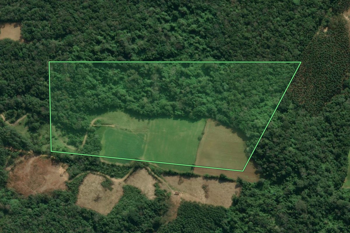 Imagem de satélite do imóvel rural em Presidente Getúlio (SC), com o contorno declarado no CAR desenhado por cima.
