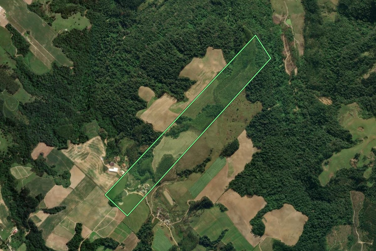 Imagem de satélite do imóvel rural em Presidente Getúlio (SC), com o contorno declarado no CAR desenhado por cima.
