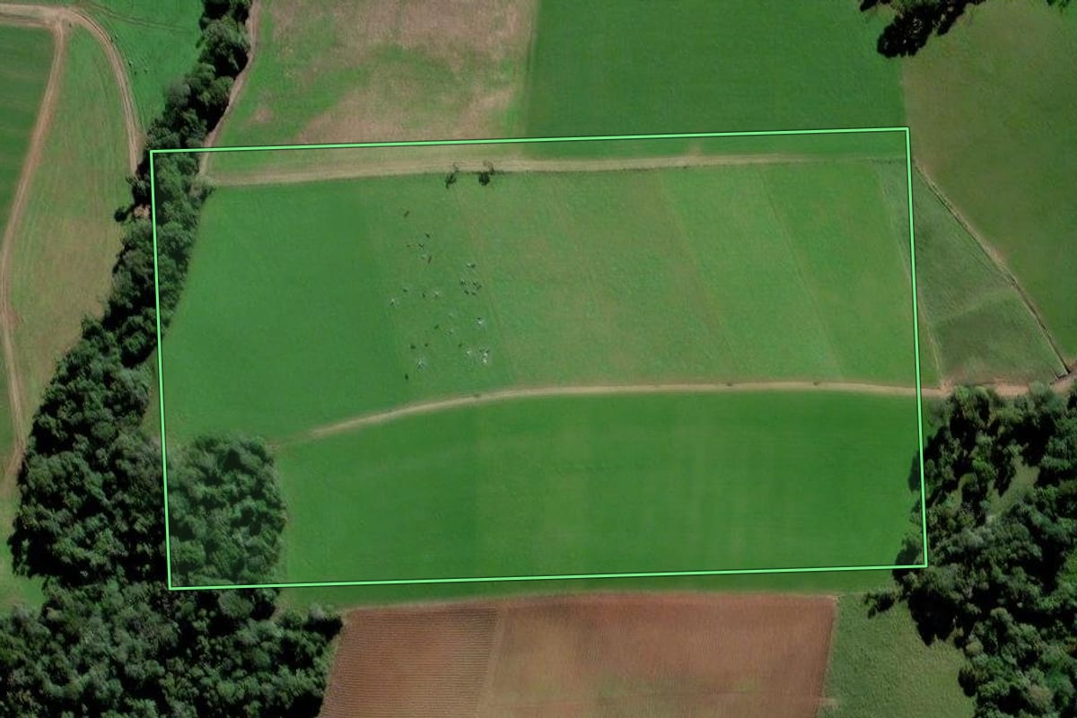 Imagem de satélite do imóvel rural em Presidente Getúlio (SC), com o contorno declarado no CAR desenhado por cima.