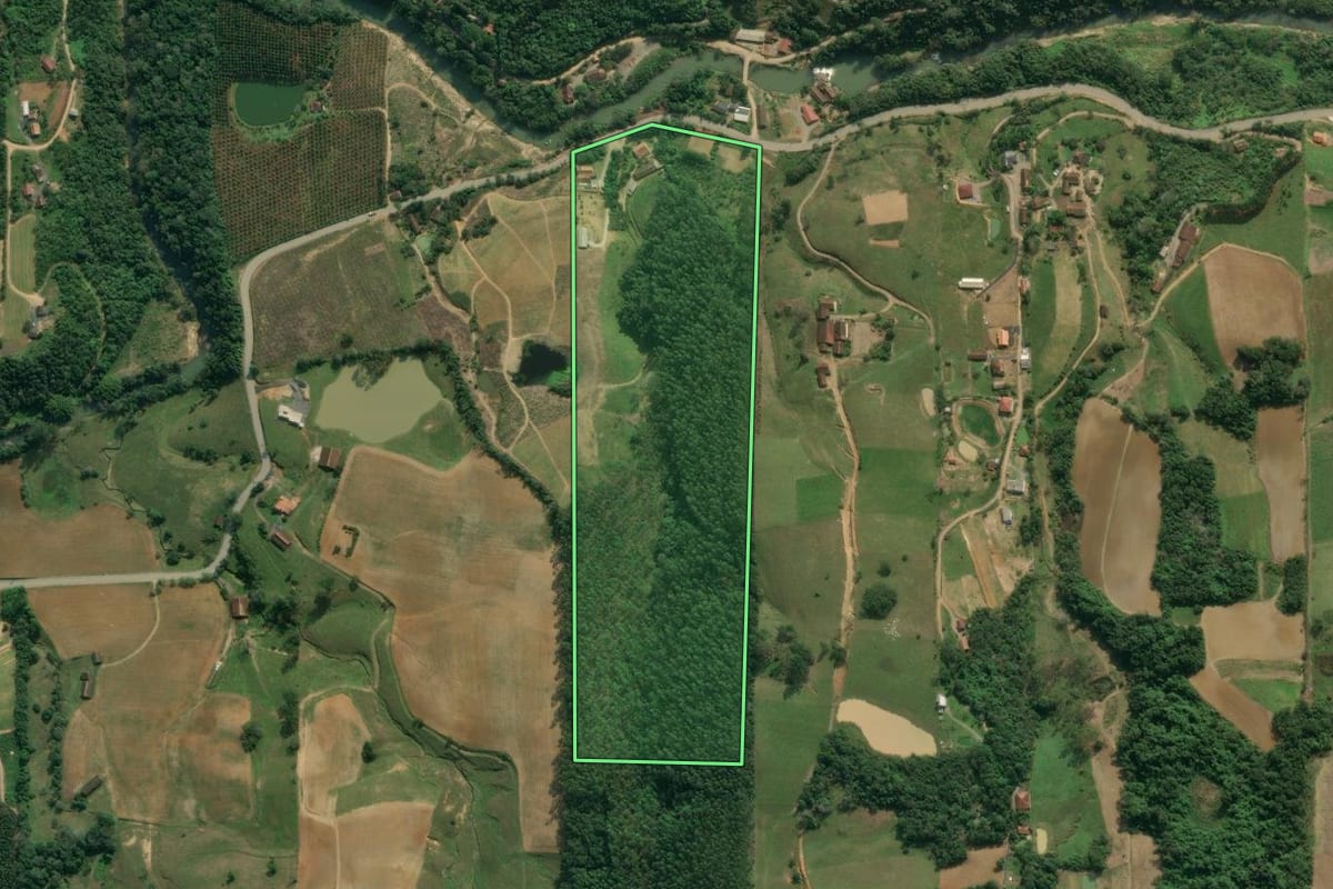 Imagem de satélite do imóvel rural em Presidente Getúlio (SC), com o contorno declarado no CAR desenhado por cima.