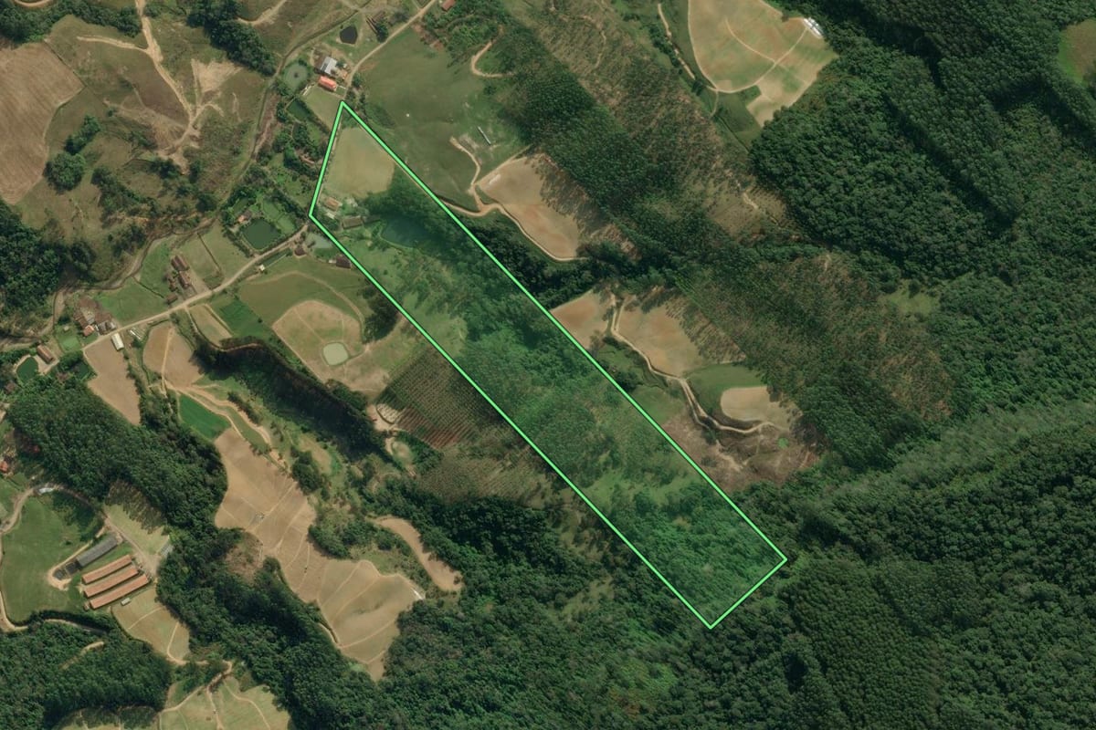 Imagem de satélite do imóvel rural em Presidente Getúlio (SC), com o contorno declarado no CAR desenhado por cima.