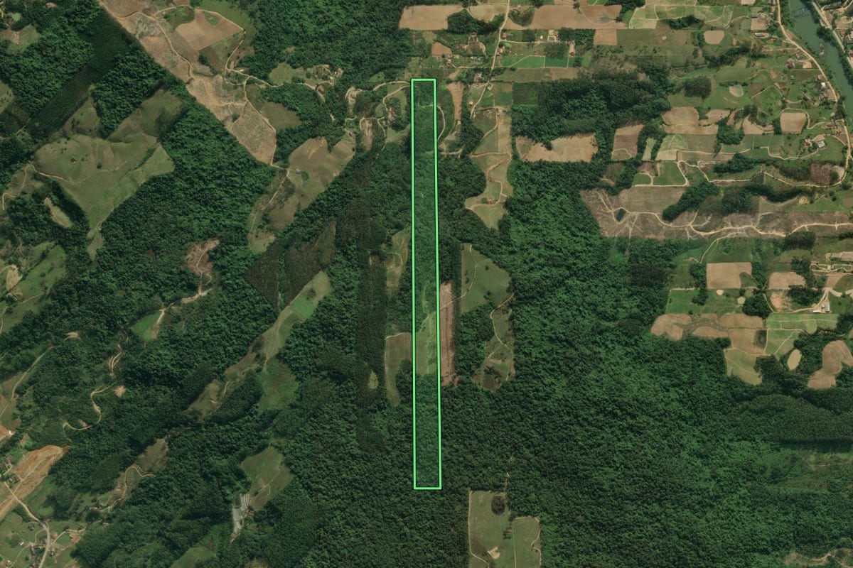Imagem de satélite do imóvel rural em Presidente Getúlio (SC), com o contorno declarado no CAR desenhado por cima.