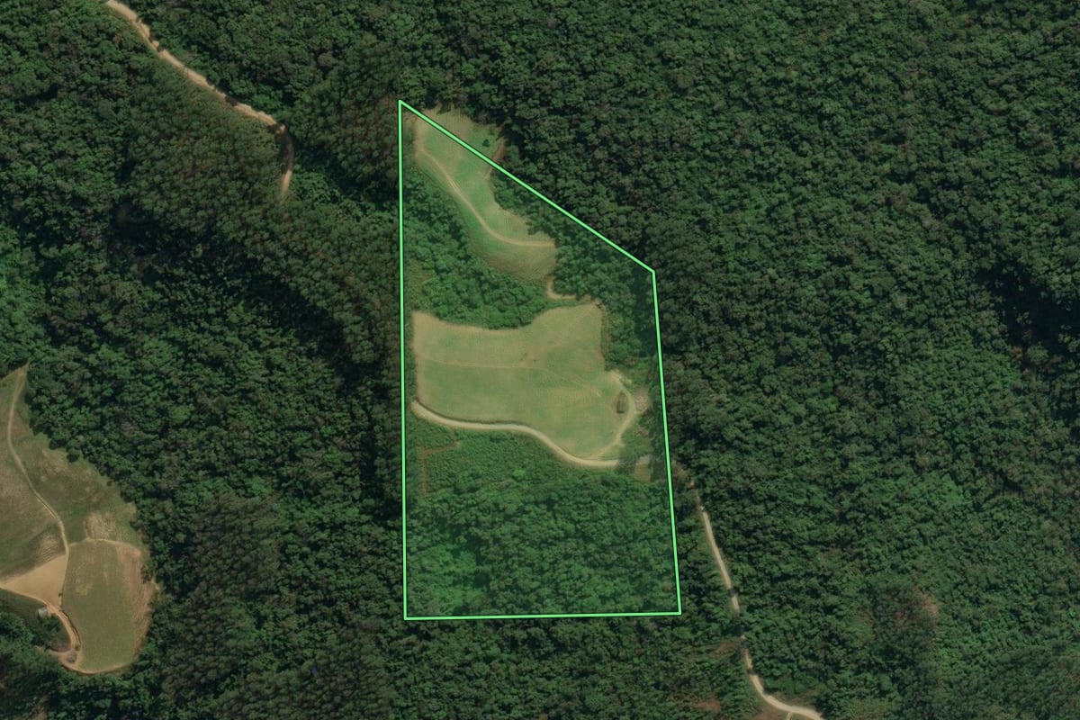 Imagem de satélite do imóvel rural em Presidente Nereu (SC), com o contorno declarado no CAR desenhado por cima.