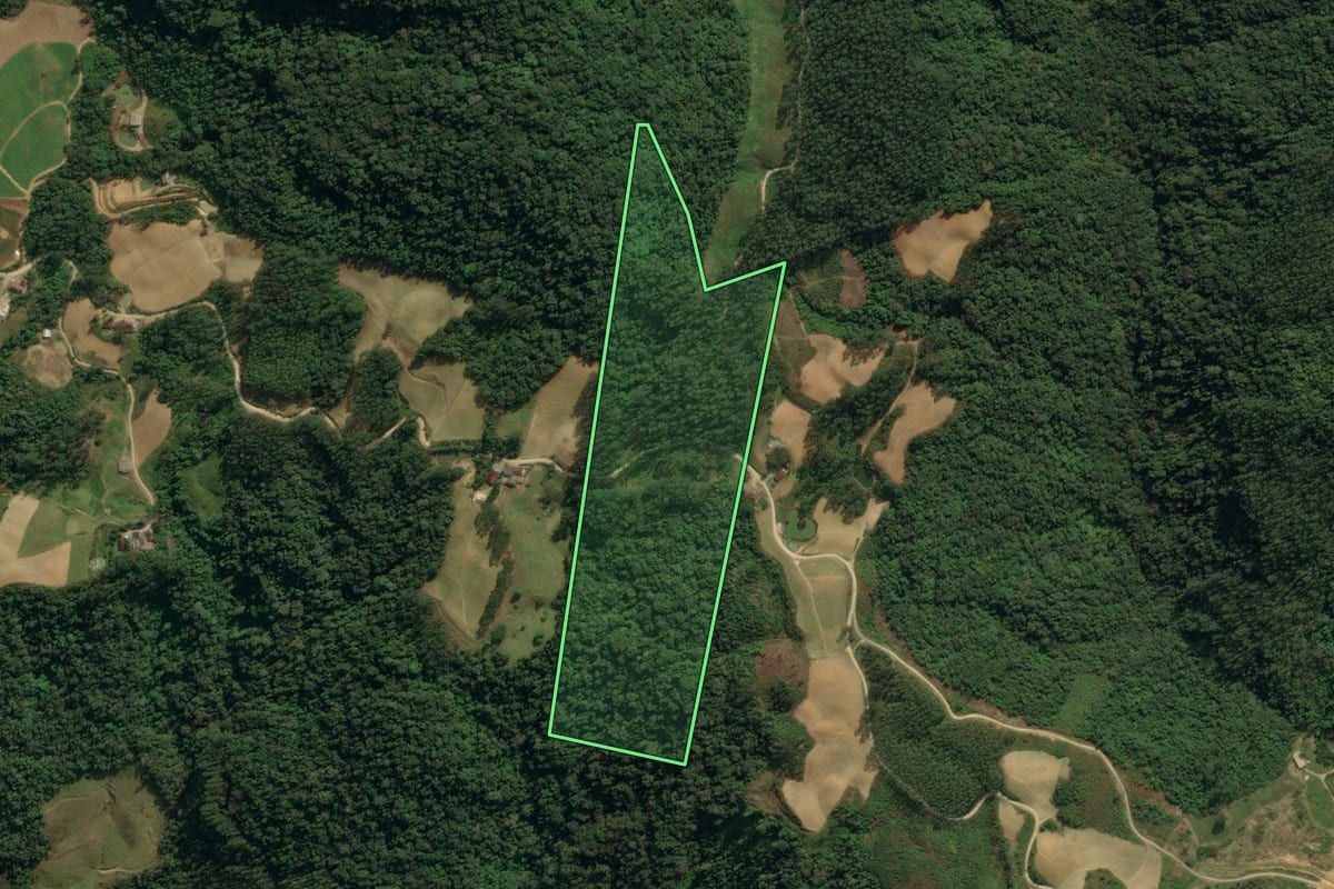 Imagem de satélite do imóvel rural em Presidente Nereu (SC), com o contorno declarado no CAR desenhado por cima.