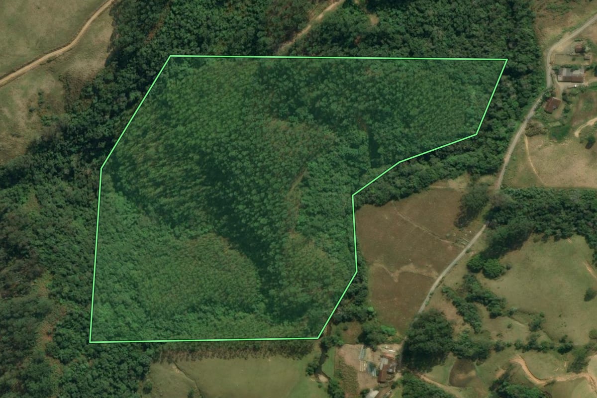 Imagem de satélite do imóvel rural em Presidente Nereu (SC), com o contorno declarado no CAR desenhado por cima.