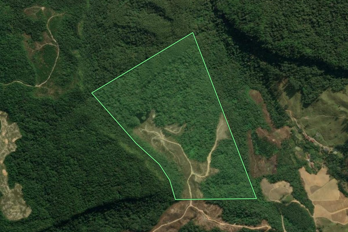 Imagem de satélite do imóvel rural em Presidente Nereu (SC), com o contorno declarado no CAR desenhado por cima.