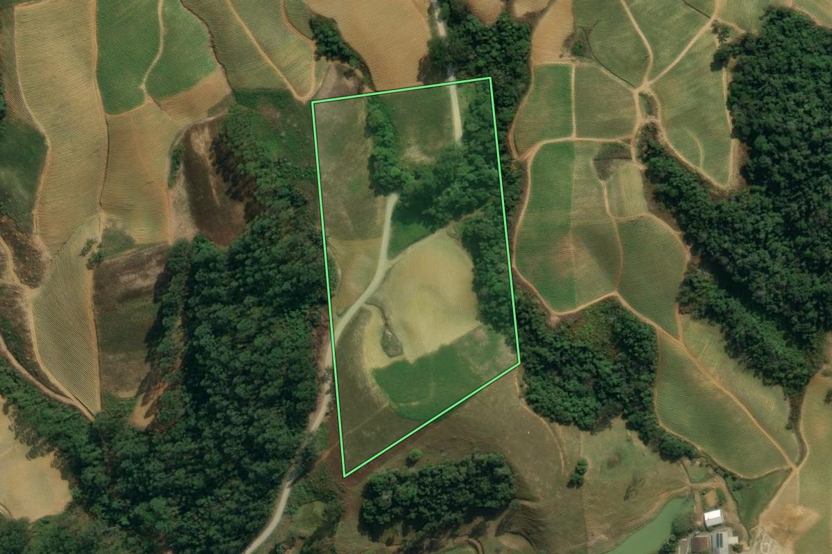 Imagem de satélite do imóvel rural em Presidente Nereu (SC), com o contorno declarado no CAR desenhado por cima.