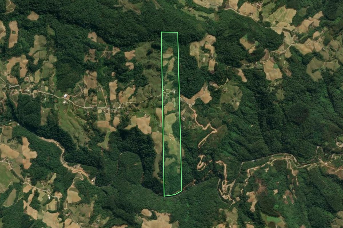 Imagem de satélite do imóvel rural em Presidente Nereu (SC), com o contorno declarado no CAR desenhado por cima.