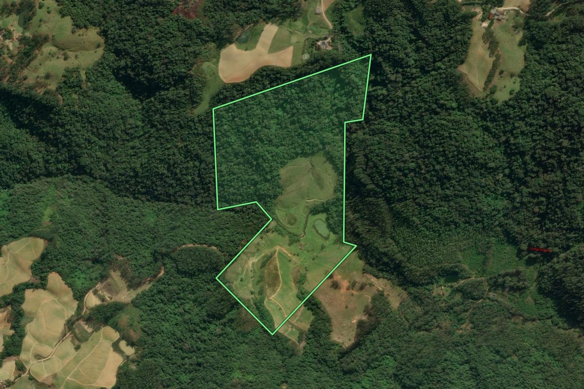 Imagem de satélite do imóvel rural em Presidente Nereu (SC), com o contorno declarado no CAR desenhado por cima.