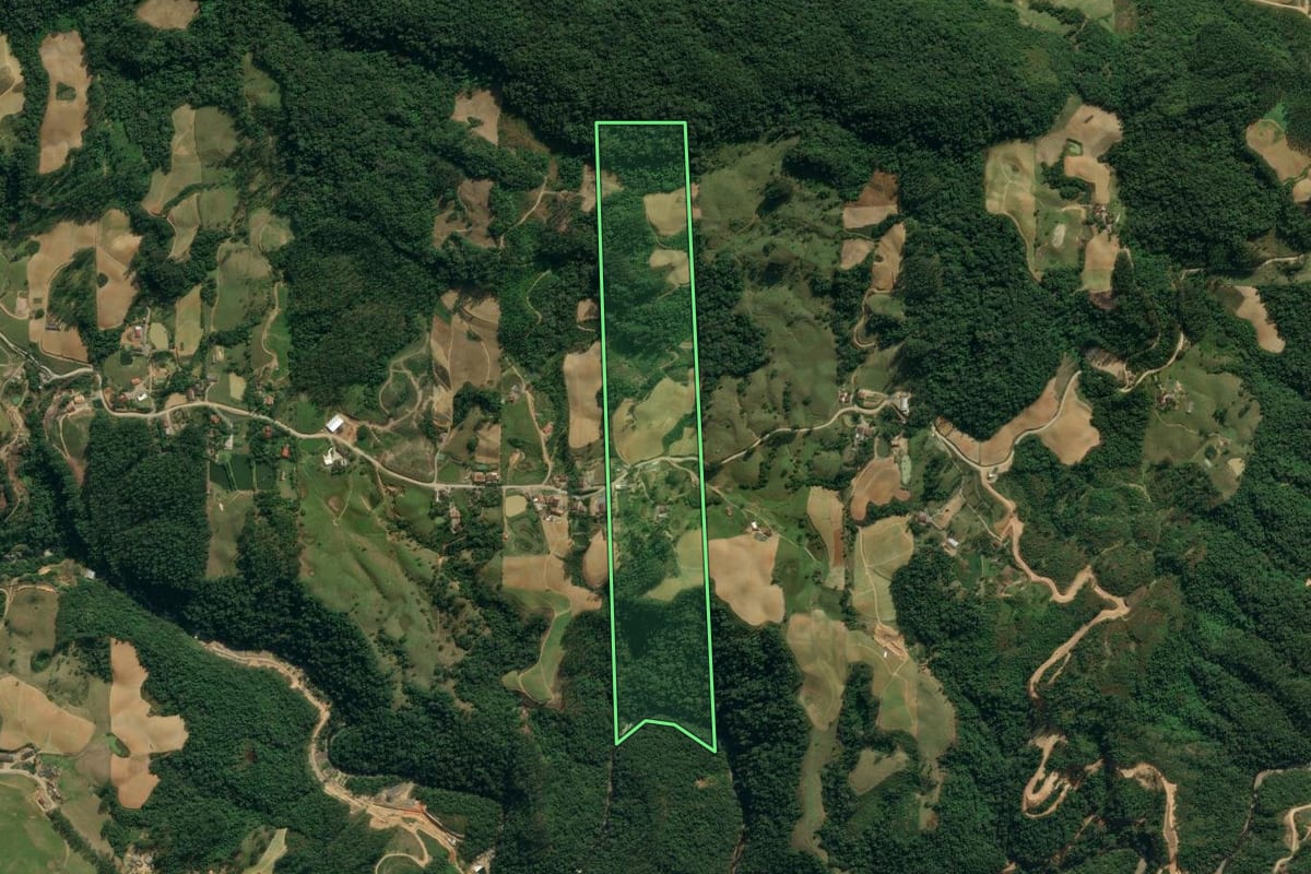 Imagem de satélite do imóvel rural em Presidente Nereu (SC), com o contorno declarado no CAR desenhado por cima.