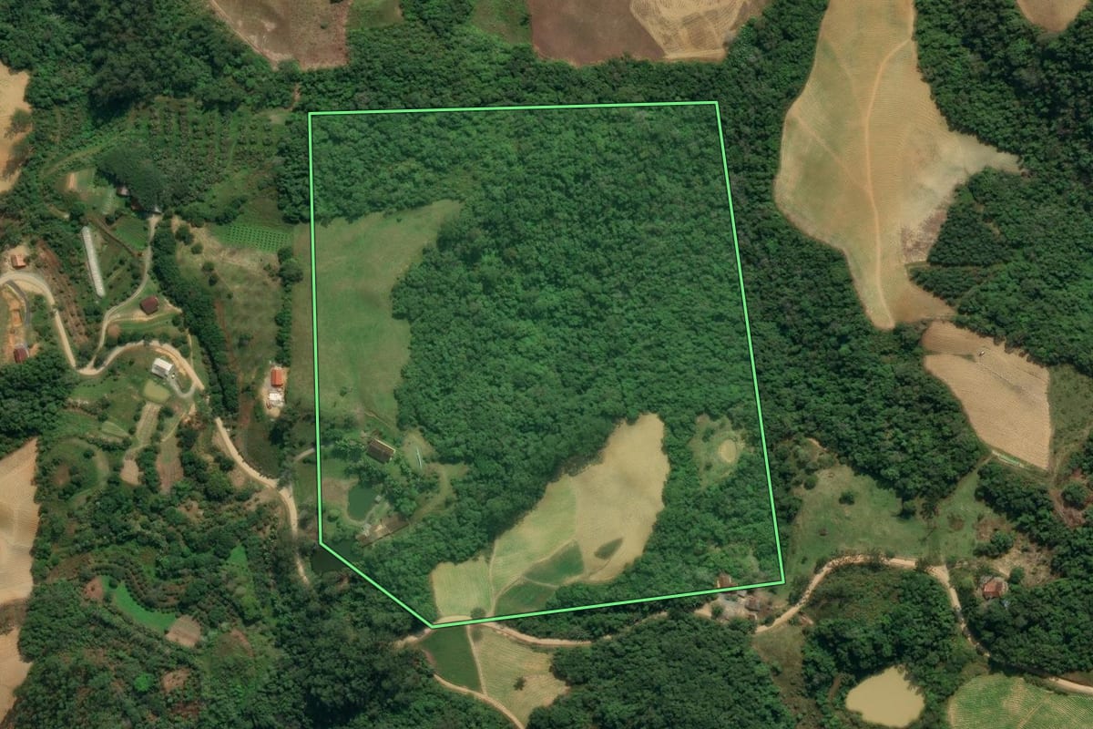 Imagem de satélite do imóvel rural em Presidente Nereu (SC), com o contorno declarado no CAR desenhado por cima.