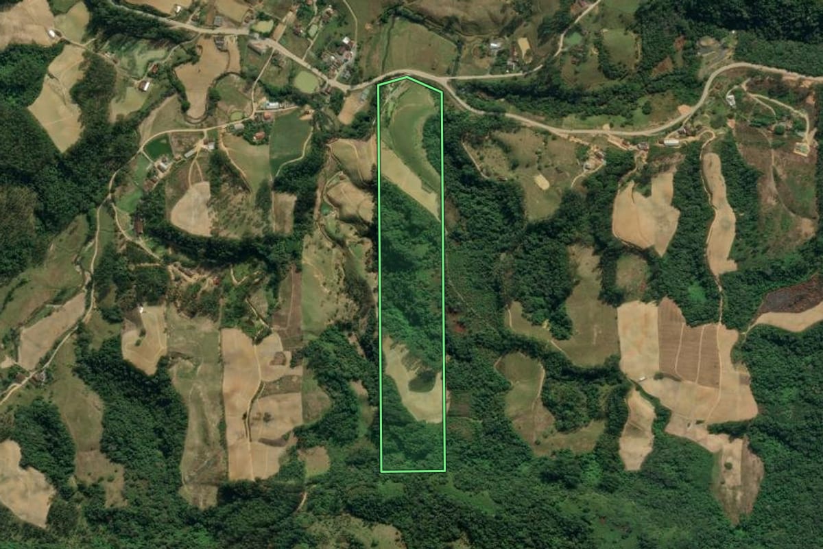Imagem de satélite do imóvel rural em Presidente Nereu (SC), com o contorno declarado no CAR desenhado por cima.