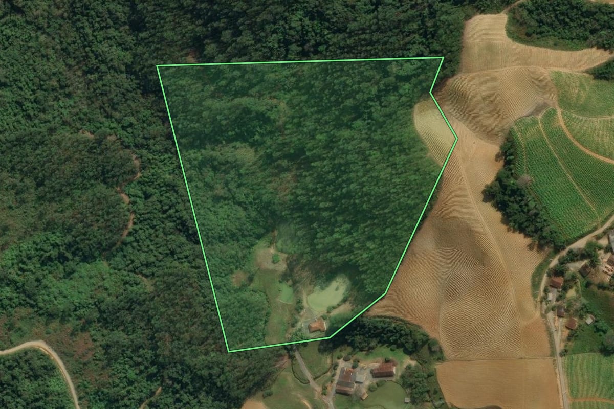 Imagem de satélite do imóvel rural em Presidente Nereu (SC), com o contorno declarado no CAR desenhado por cima.