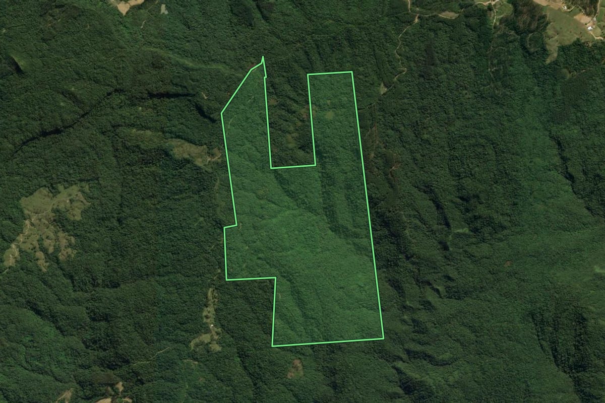 Imagem de satélite do imóvel rural em Presidente Nereu (SC), com o contorno declarado no CAR desenhado por cima.