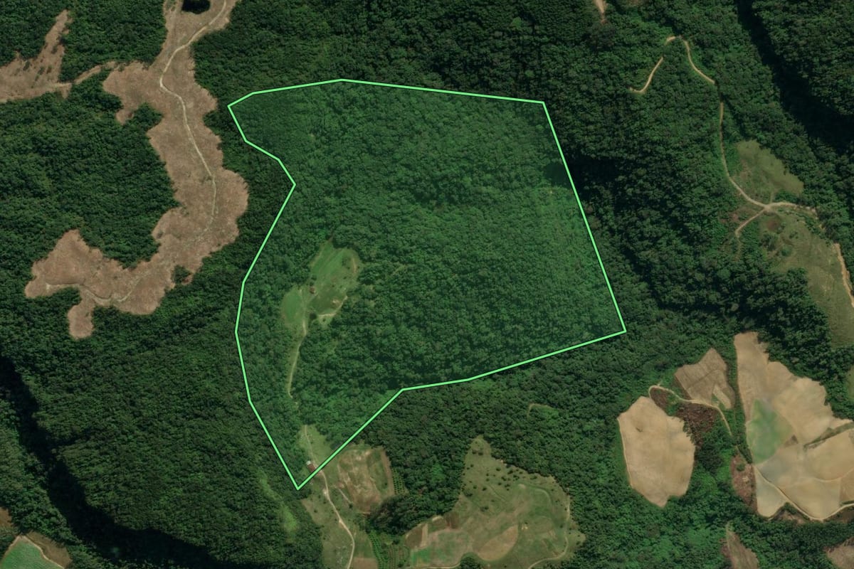 Imagem de satélite do imóvel rural em Presidente Nereu (SC), com o contorno declarado no CAR desenhado por cima.