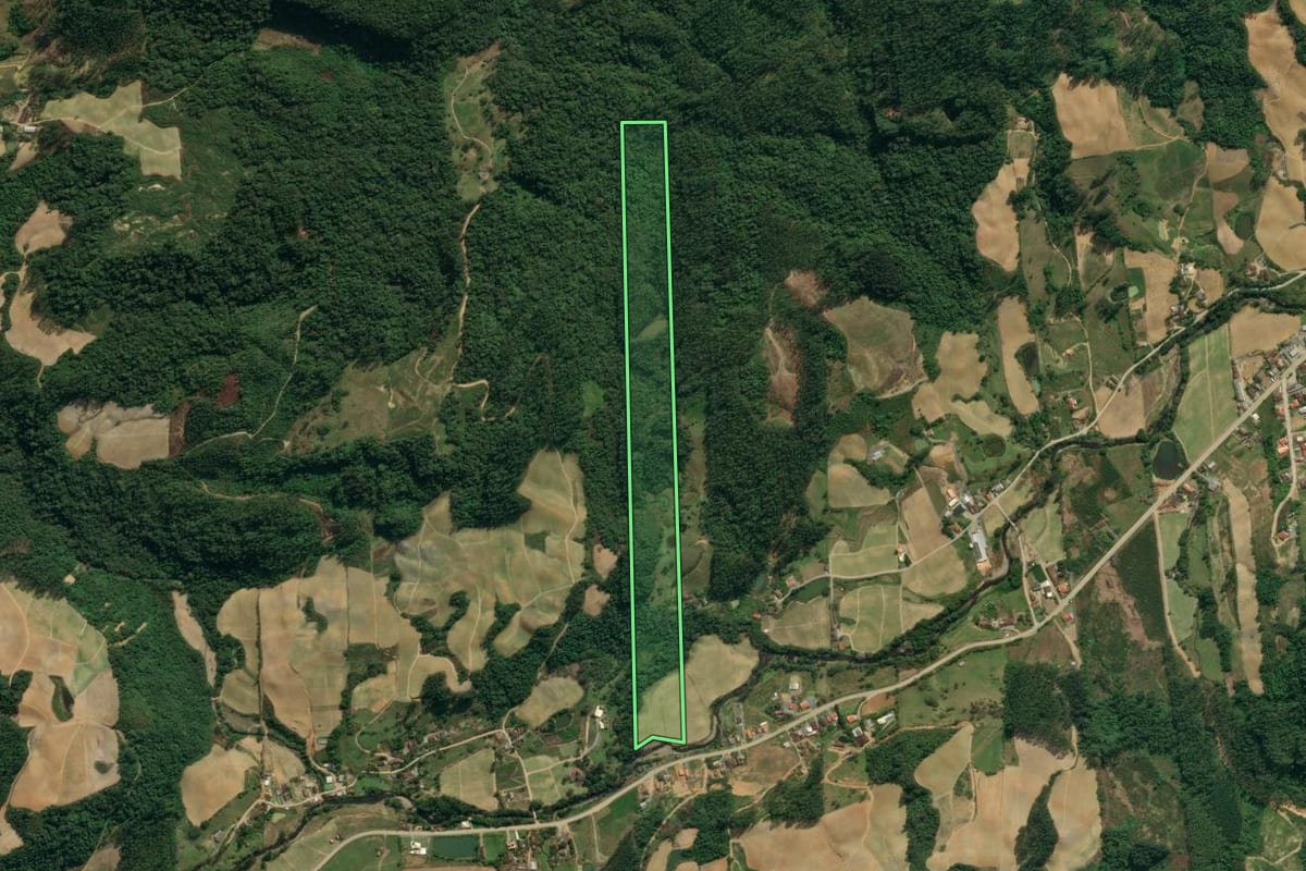 Imagem de satélite do imóvel rural em Presidente Nereu (SC), com o contorno declarado no CAR desenhado por cima.